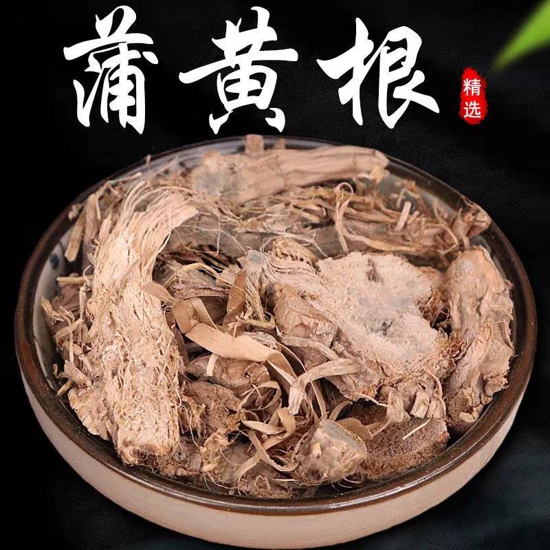 中药材蒲黄根野生香蒲根蒲儿根包草根新货一手货源