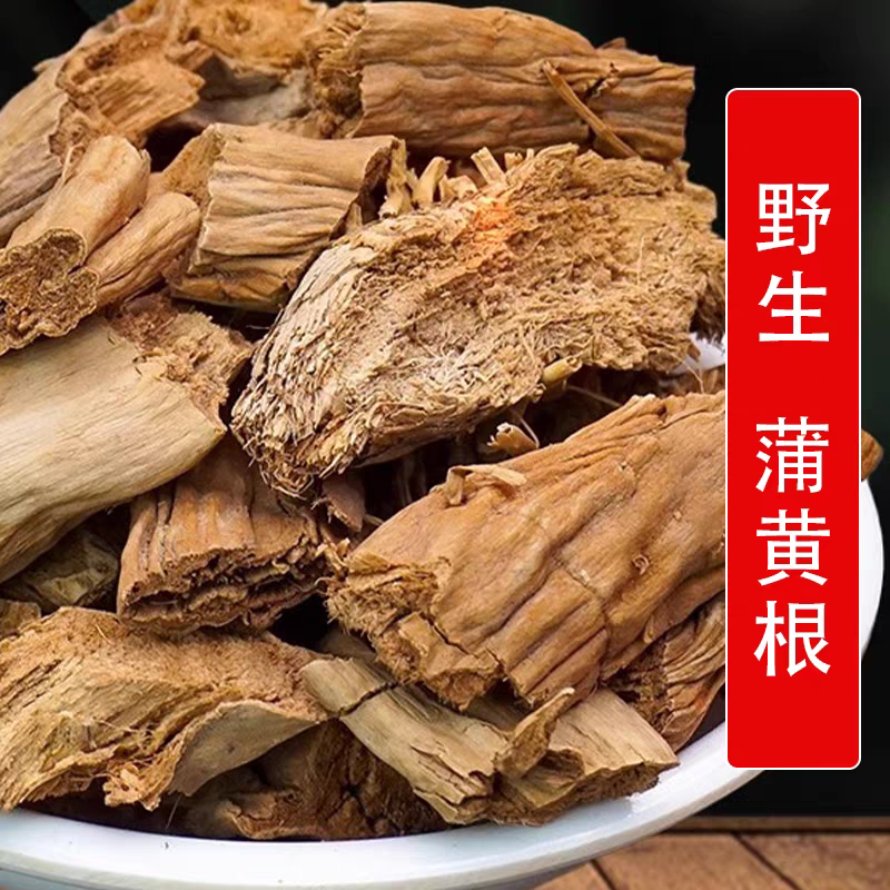 中药材蒲黄根野生香蒲根蒲儿根包草根新货一手货源