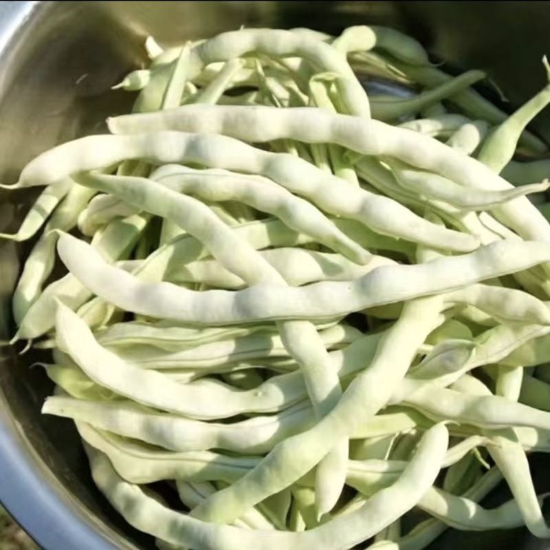 云南白豆白不老高山白不老豆角大白豆白芸豆大量供应