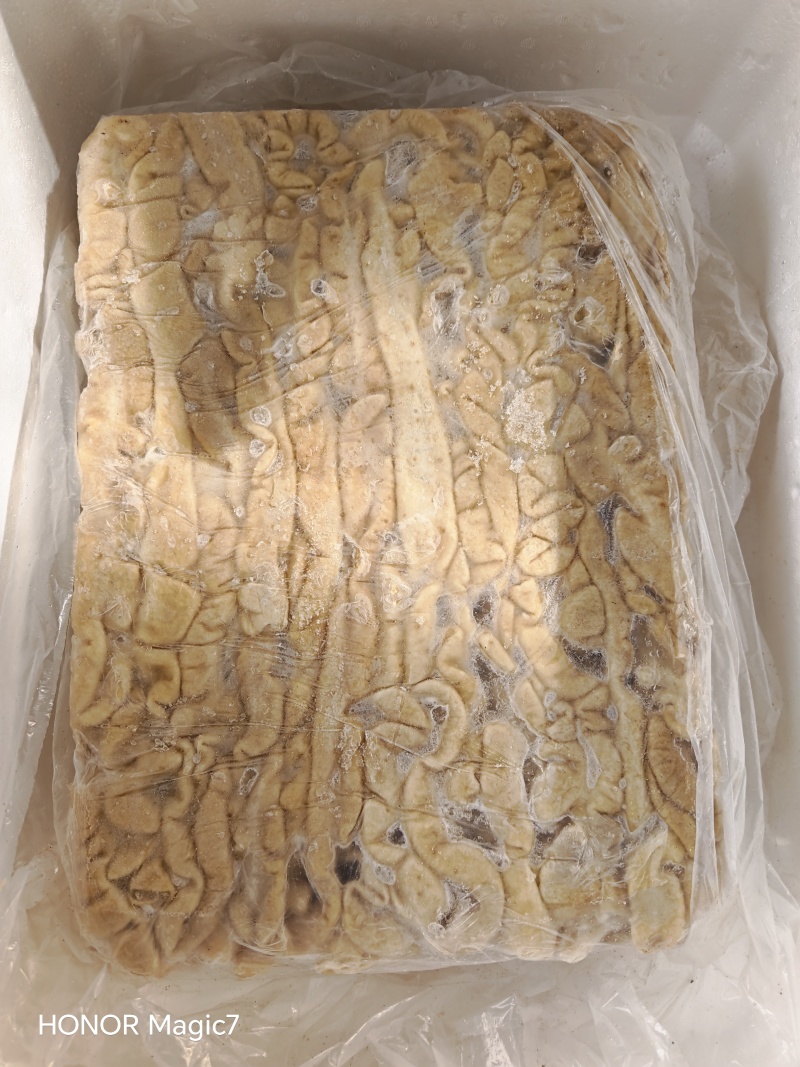 预煮85猪大肠