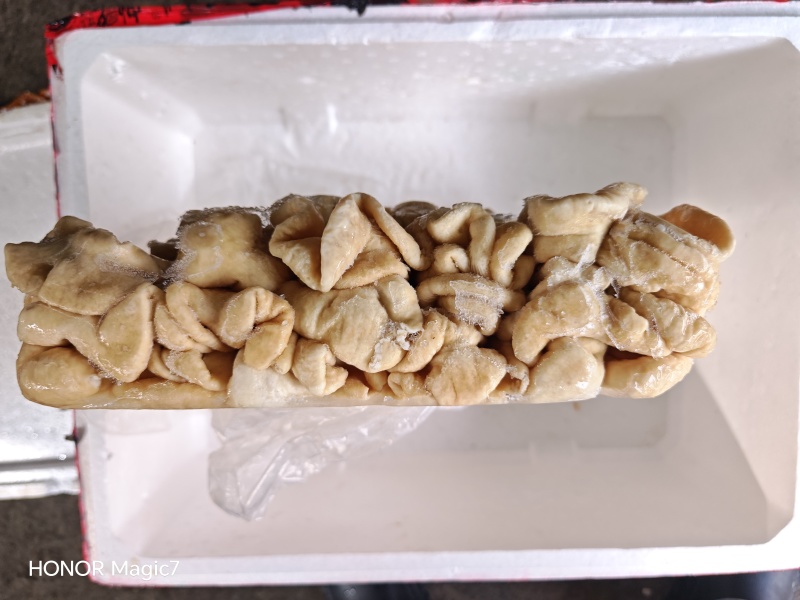预煮85猪大肠