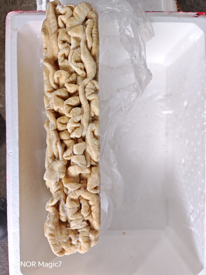 预煮85猪大肠
