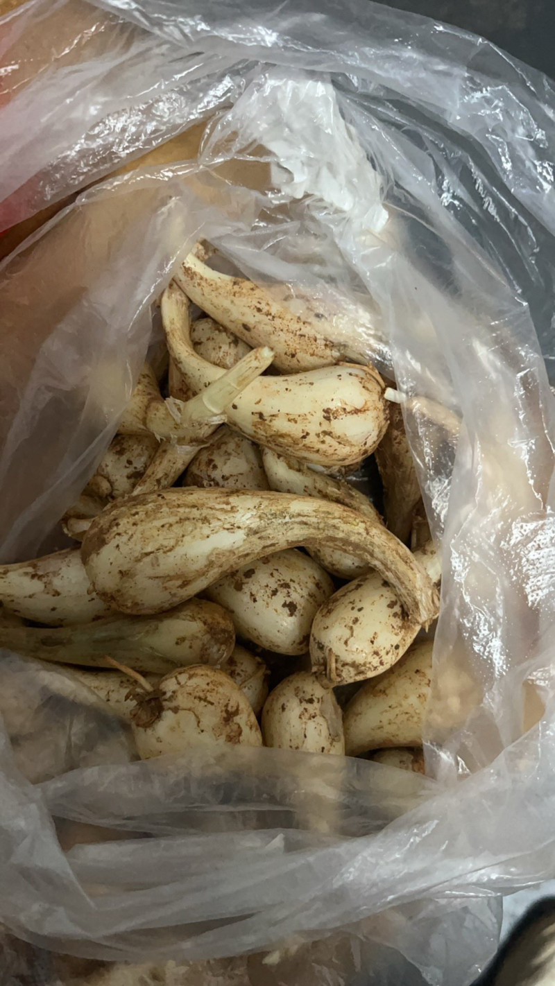 荞头