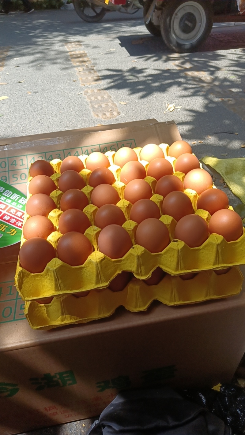 鸡蛋
