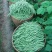 山东无筋豆无丝豆大量供应可视频看货欢迎来电采购