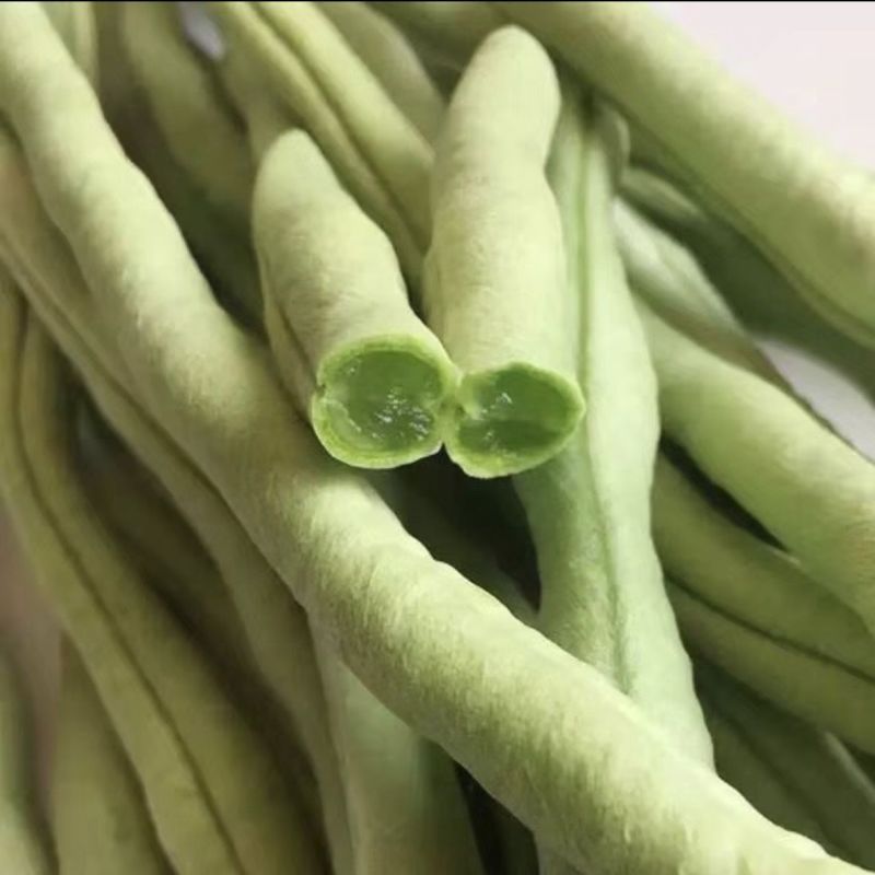 山东无筋豆无丝豆大量供应可视频看货欢迎来电采购