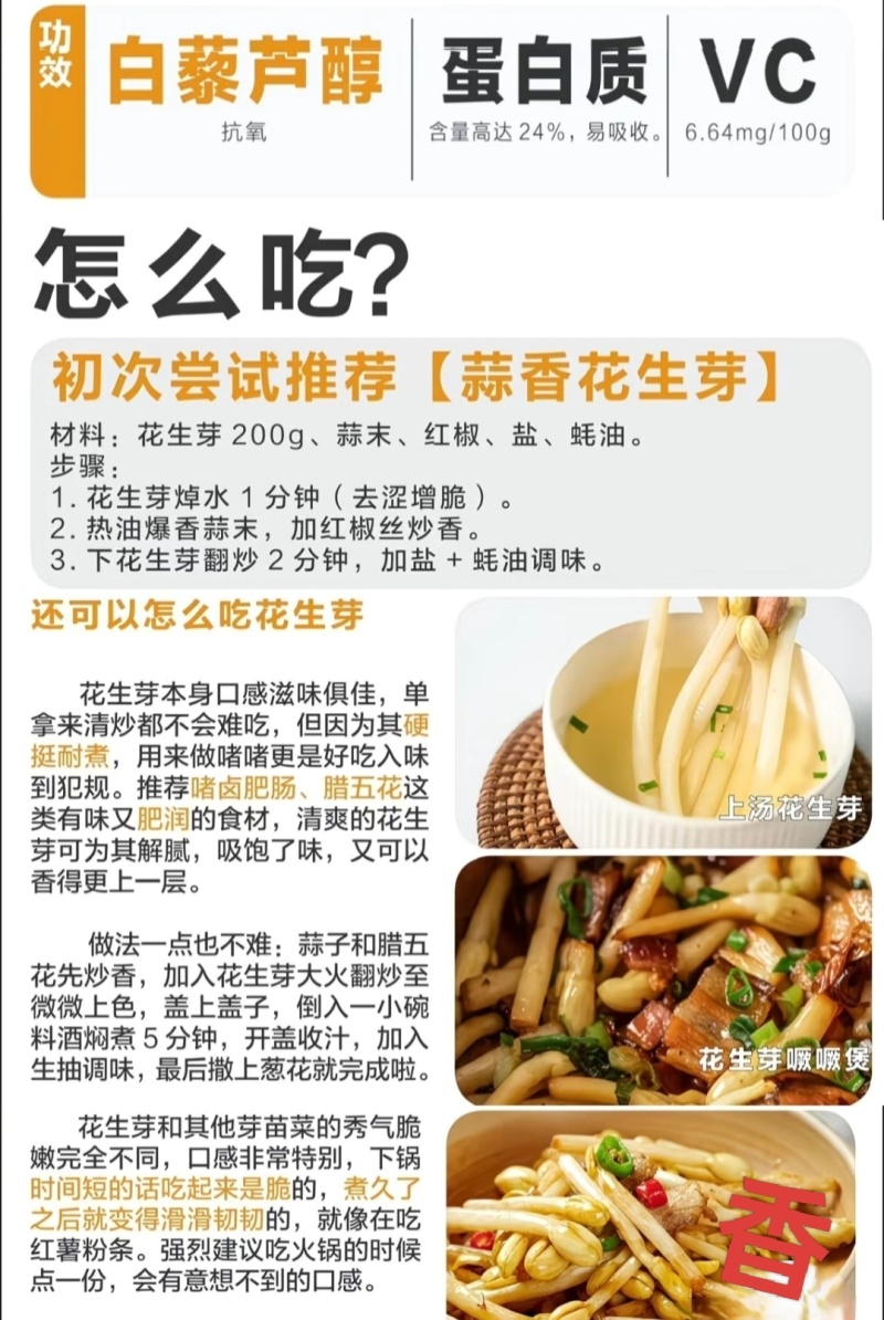现摘鲜花生芽火锅麻辣烫捞汁凉拌热炒零售批发