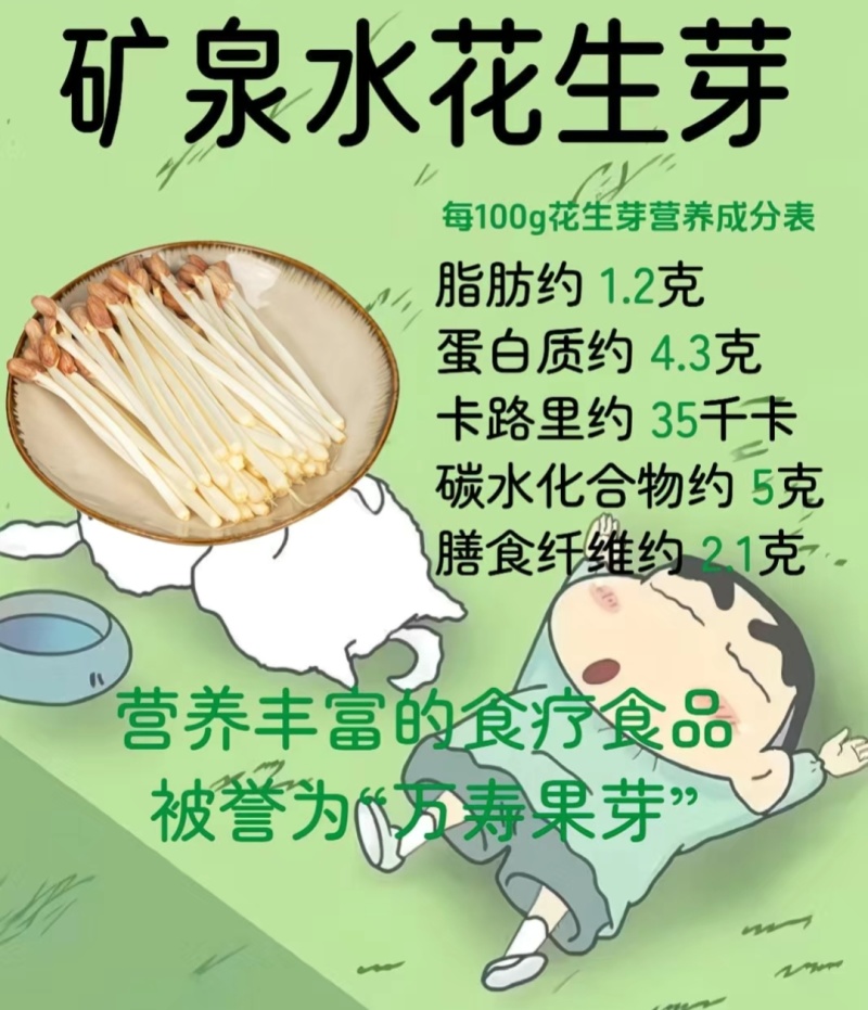 现摘鲜花生芽火锅麻辣烫捞汁凉拌热炒零售批发