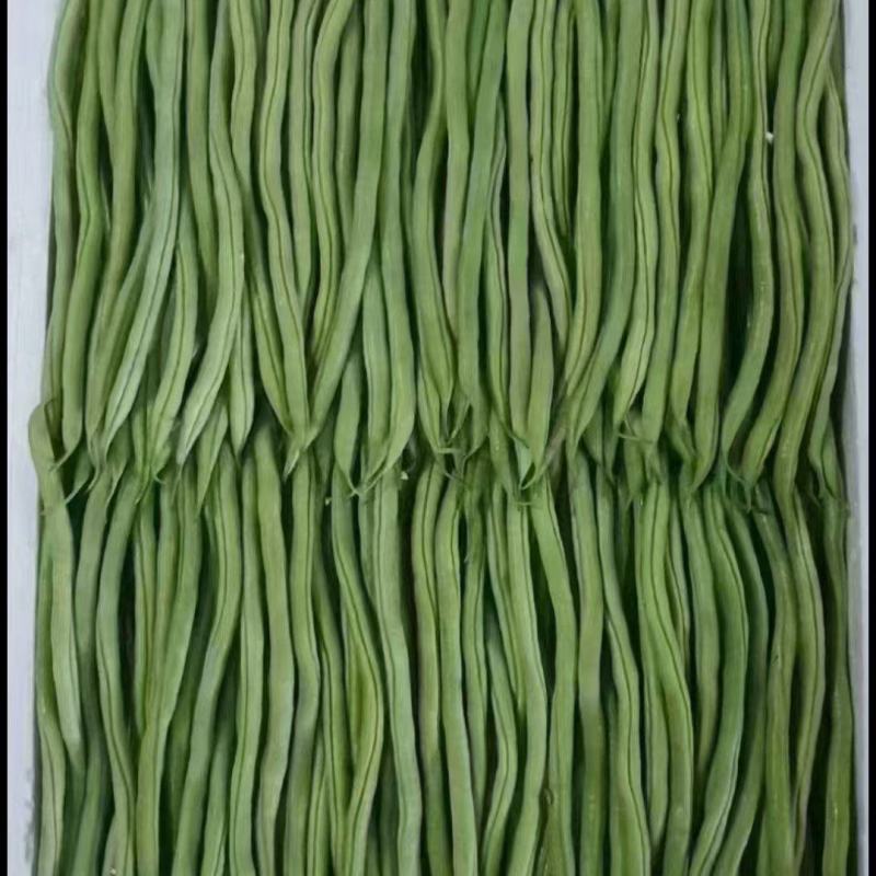 山东无筋豆无丝豆大量供应可视频看货欢迎来电采购