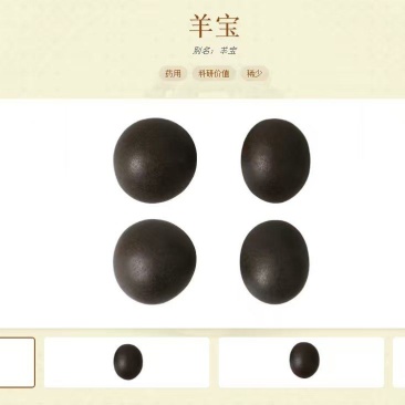 天然形成的羊宝