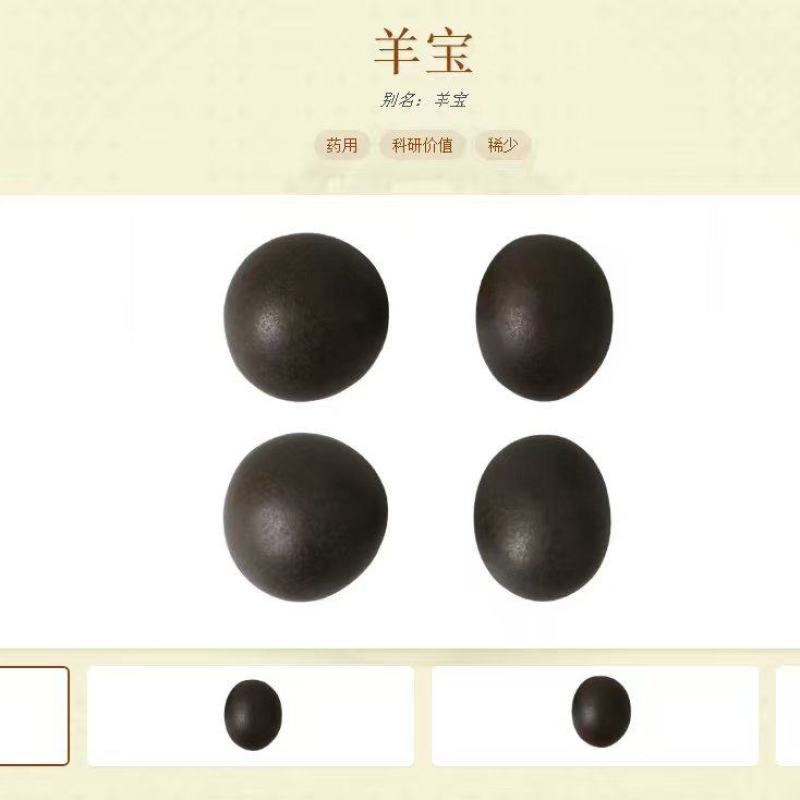 天然形成的羊宝