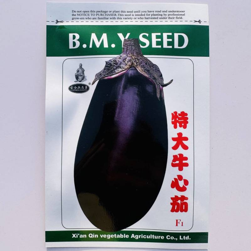 早熟特大果牛心茄种子椭圆形肉厚籽少耐老化春秋播种罐茄种籽