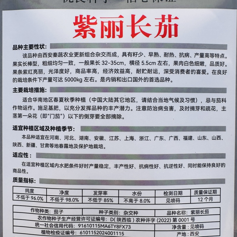 早熟特大果牛心茄种子椭圆形肉厚籽少耐老化春秋播种罐茄种籽