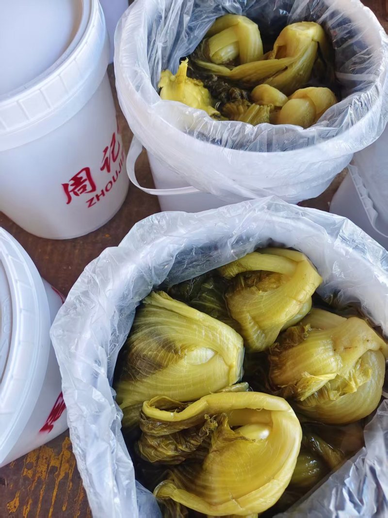 精品酸菜（中小菜）品质保证，货品齐全，欢迎各位老板前来选