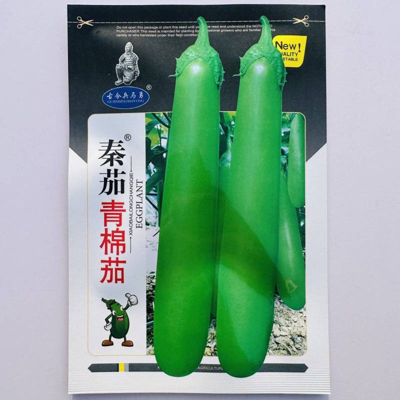 秦茄青棉茄种子肉厚皮亮籽少长茄种子台湾引进株高1米青茄种