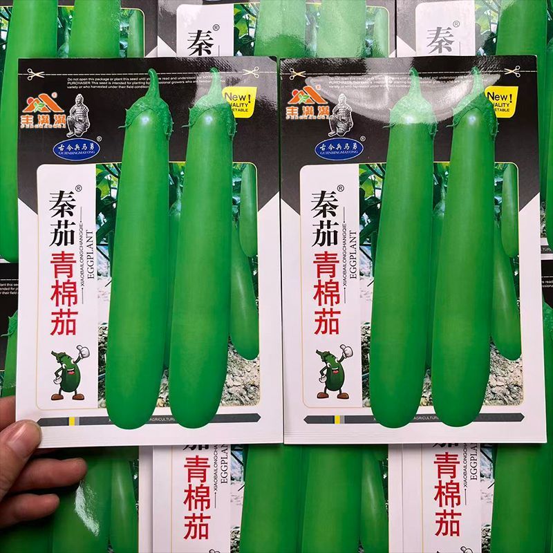 秦茄青棉茄种子肉厚皮亮籽少长茄种子台湾引进株高1米青茄种
