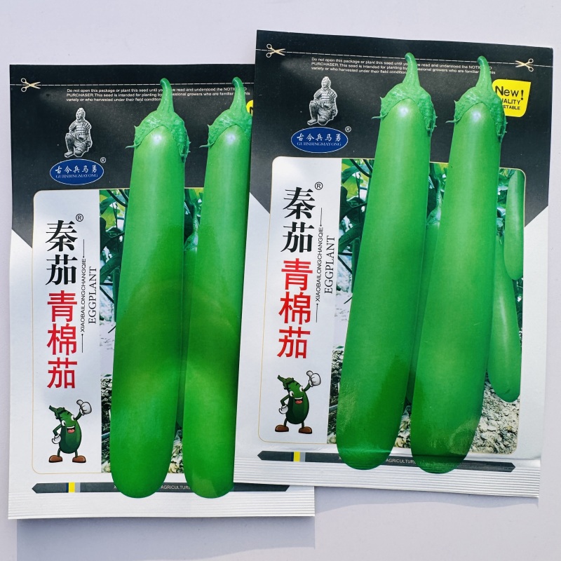 秦茄青棉茄种子肉厚皮亮籽少长茄种子台湾引进株高1米青茄种