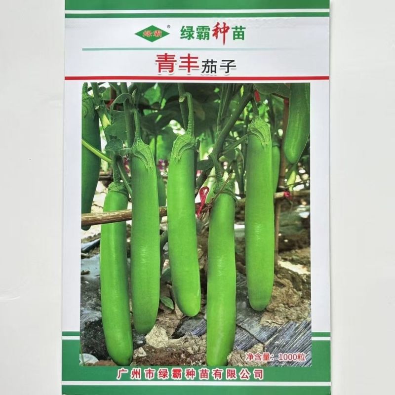 秦茄青棉茄种子肉厚皮亮籽少长茄种子台湾引进株高1米青茄种