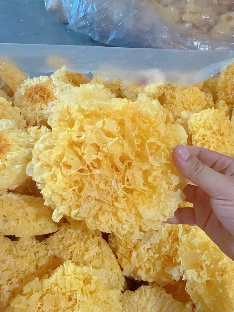 精品银耳优质质量保证价格实惠诚信经营欢迎咨询