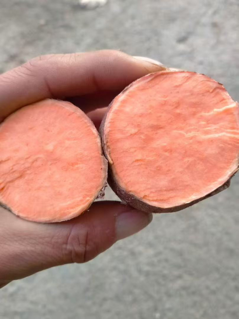 西瓜红高次精品都有供货量大对接全国质量保证需要来电