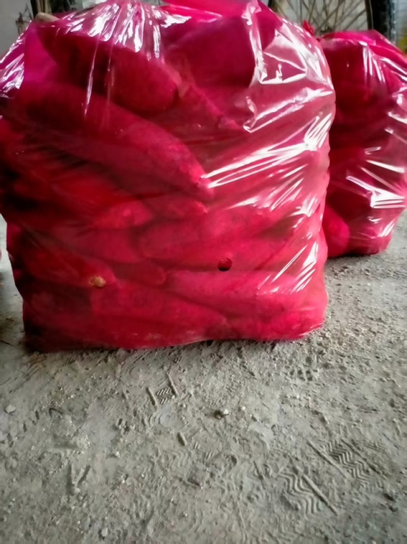 西瓜红高次精品都有供货量大对接全国质量保证需要来电