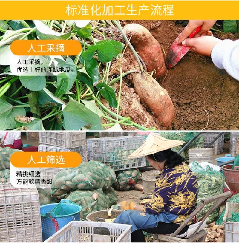 独立装水晶(紫薯仔红薯仔)1000克一包批发包邮