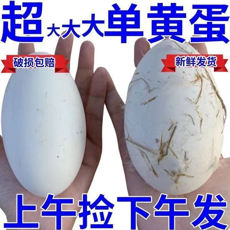 【一整箱】大黄土鹅蛋五谷杂粮新鲜农家散养20枚