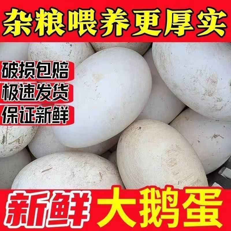 【一整箱】大黄土鹅蛋五谷杂粮新鲜农家散养20枚