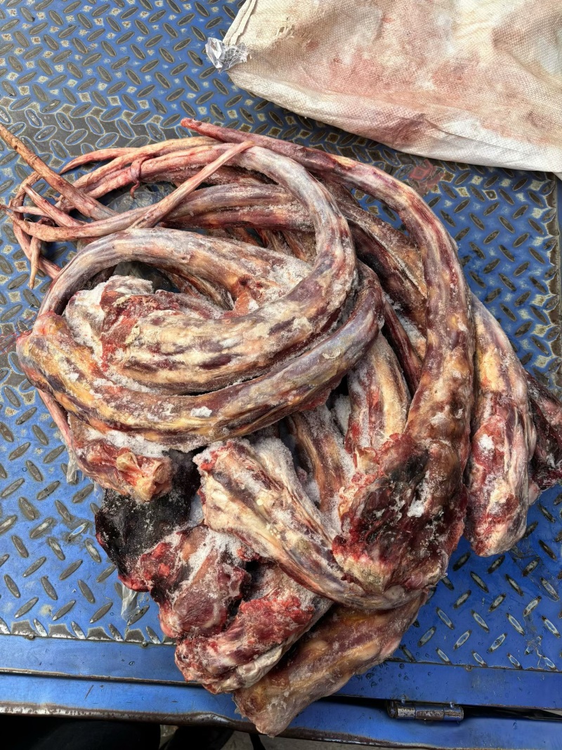 去皮牛尾