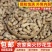 农家柴火炒花生新货原味炒熟新鲜花生铁锅带壳炒货坚果批发