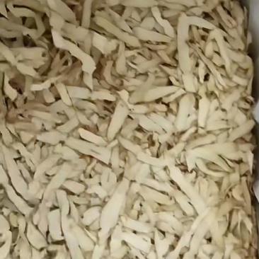 新玉竹干货
