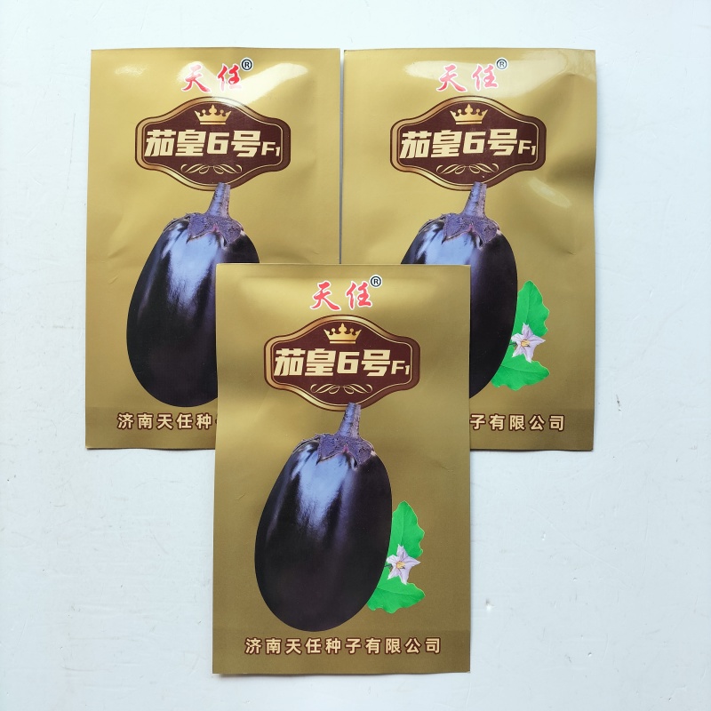 特大灯泡茄种子四川龙盛绿肉牛心茄子种籽春秋季油黑发亮茄子