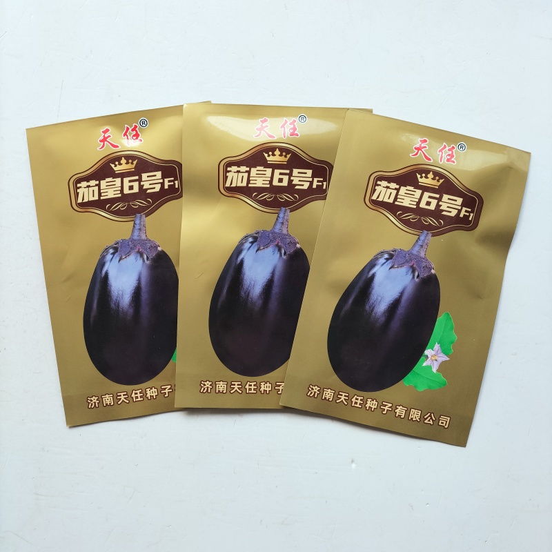 特大灯泡茄种子四川龙盛绿肉牛心茄子种籽春秋季油黑发亮茄子