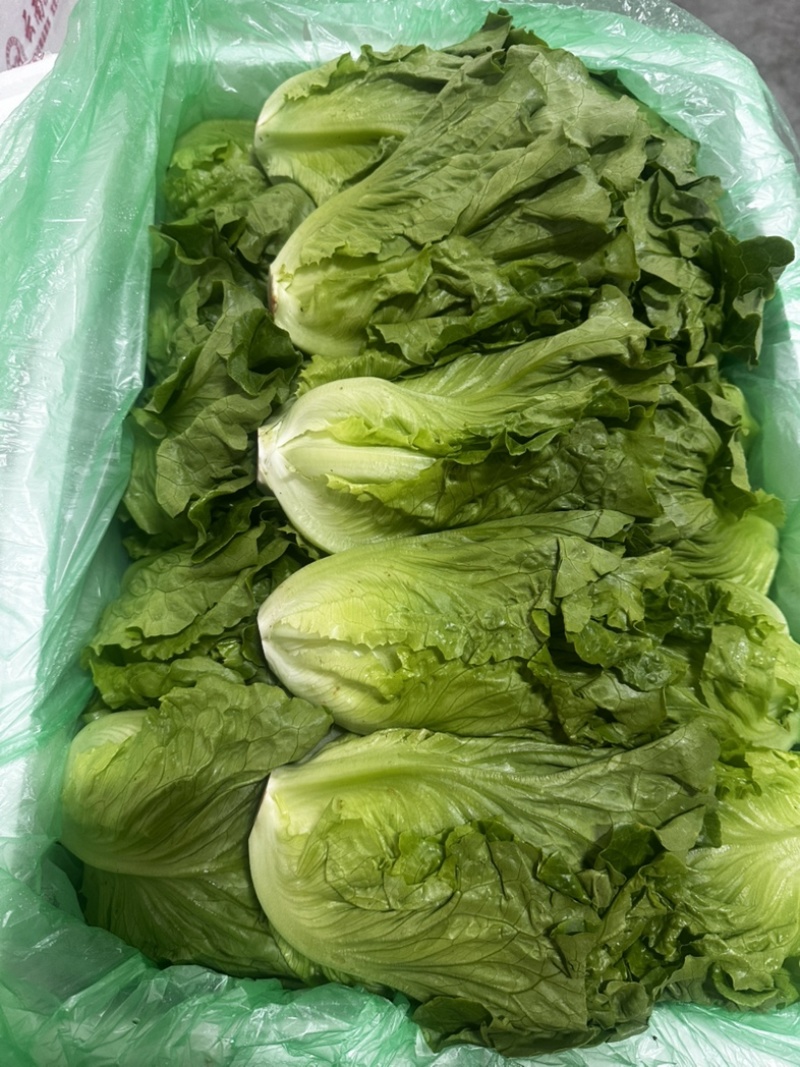 精品罗马，全国发货，欢迎联系，保质保量，价格可谈