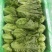 精品罗马，全国发货，欢迎联系，保质保量，价格可谈