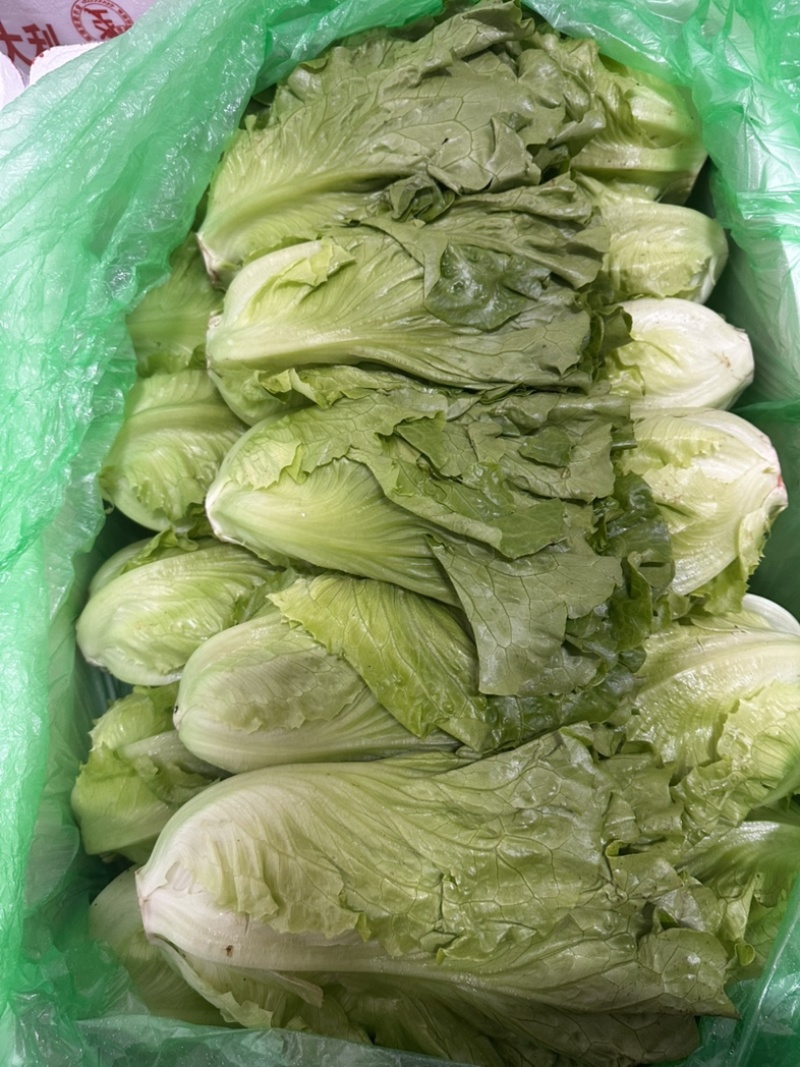 精品罗马，全国发货，欢迎联系，保质保量，价格可谈