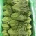 精品罗马，全国发货，欢迎联系，保质保量，价格可谈