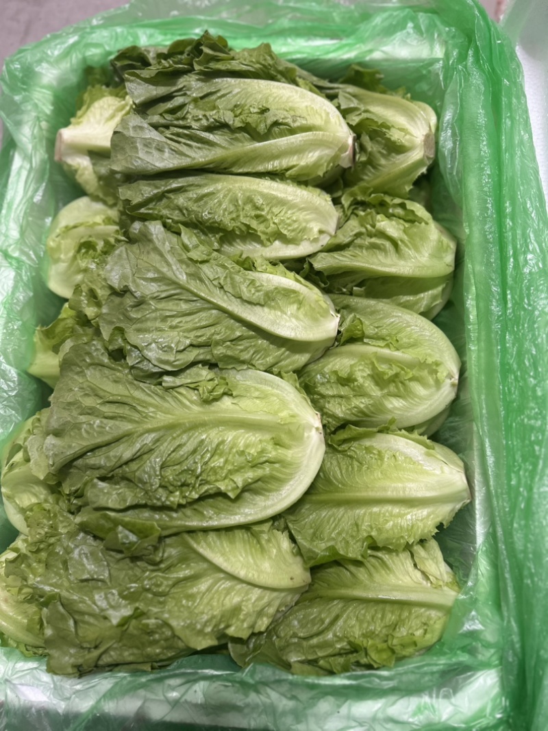 精品罗马，全国发货，欢迎联系，保质保量，价格可谈