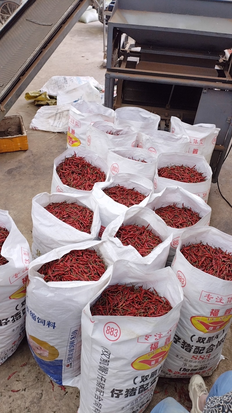 烘干小米辣（艳椒）