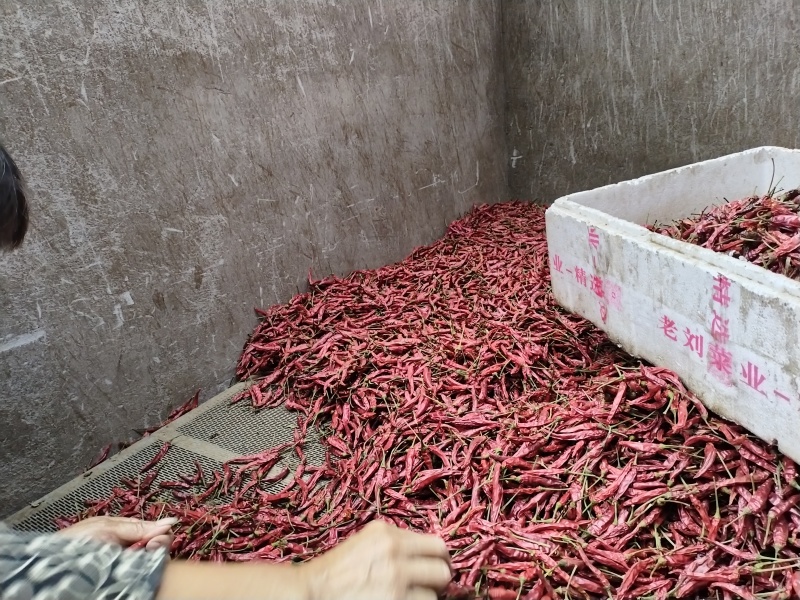 烘干小米辣（艳椒）