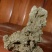 奇石微景观造景，鱼缸造景，案头摆件，吸水石摆件