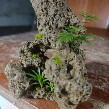 奇石微景观造景，鱼缸造景，案头摆件，吸水石摆件