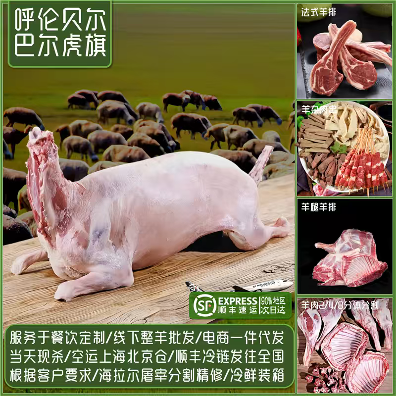 白条羊呼伦贝尔牧场直供精品全草羊代办电商代发线下货运