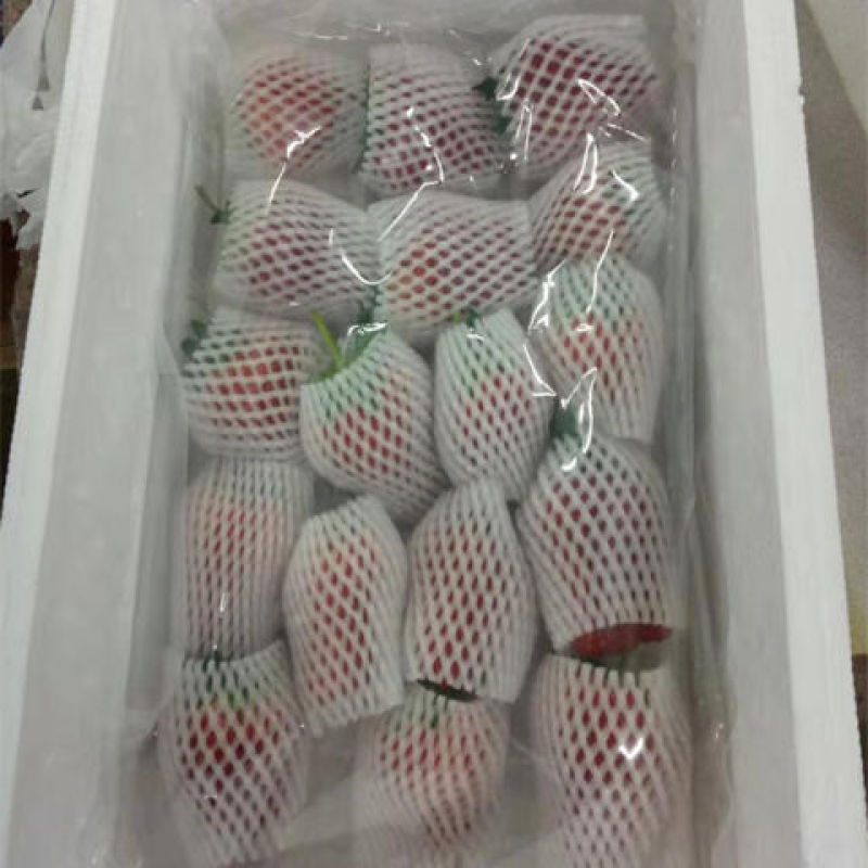 丹东久久草莓一件代发电商**