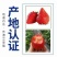 丹东久久草莓一件代发电商**