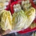 「精品」黄心娃娃菜毛菜净菜都有市场电商货规格齐全