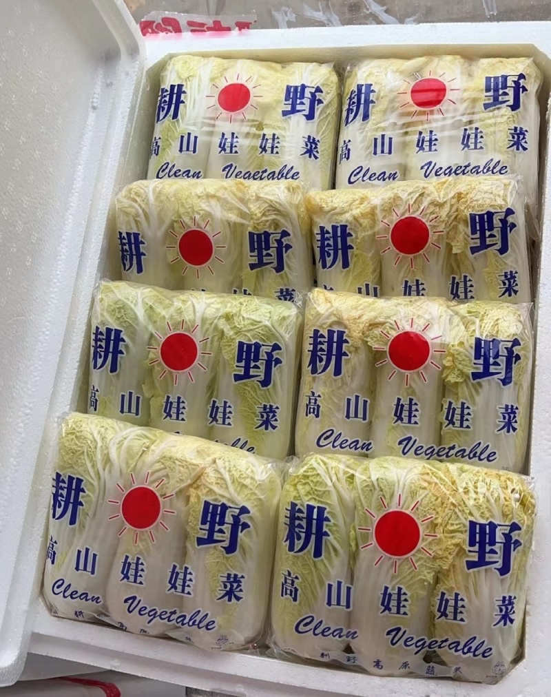 「精品」黄心娃娃菜毛菜净菜都有市场电商货规格齐全