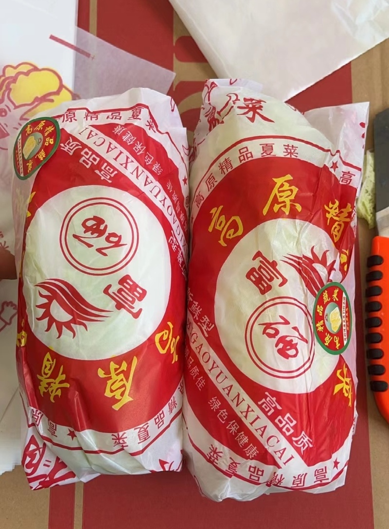 「精品」黄心娃娃菜毛菜净菜都有市场电商货规格齐全