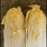 「精品」黄心娃娃菜毛菜净菜都有市场电商货规格齐全