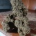 天然上水石